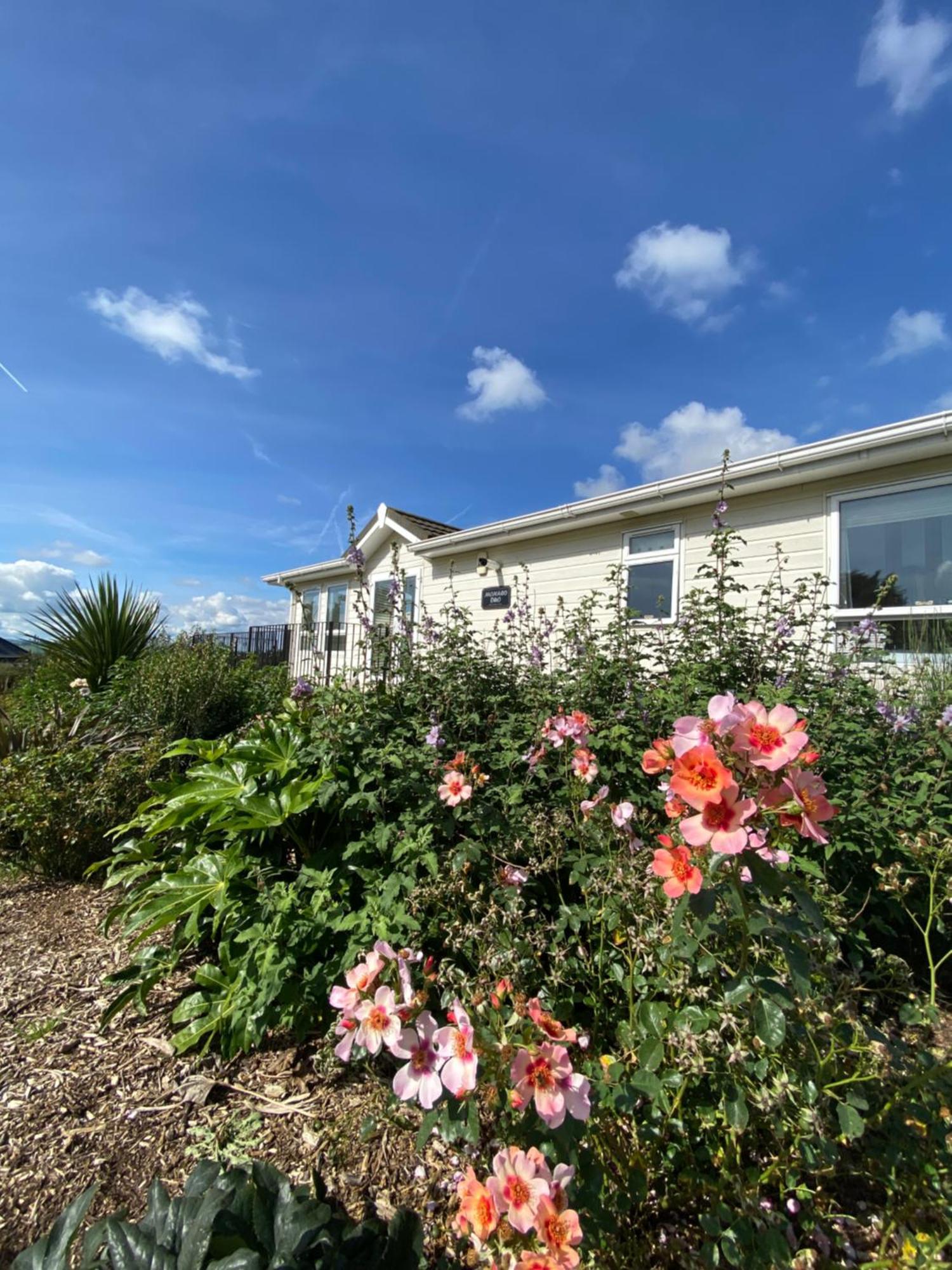 East Kitcham Lodge Launceston Ngoại thất bức ảnh
